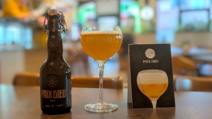 Pop up paix dieu lille